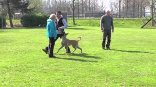 Knut Fuchs Button Vom Esadera - Bh