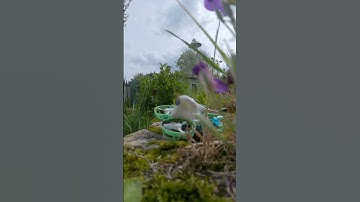 Not Your Average Tinywhoop 🎯