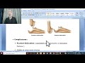 Orthopedic in Arabic 19 ( Dislocation of Elbow joint ), by Dr. Wahdan