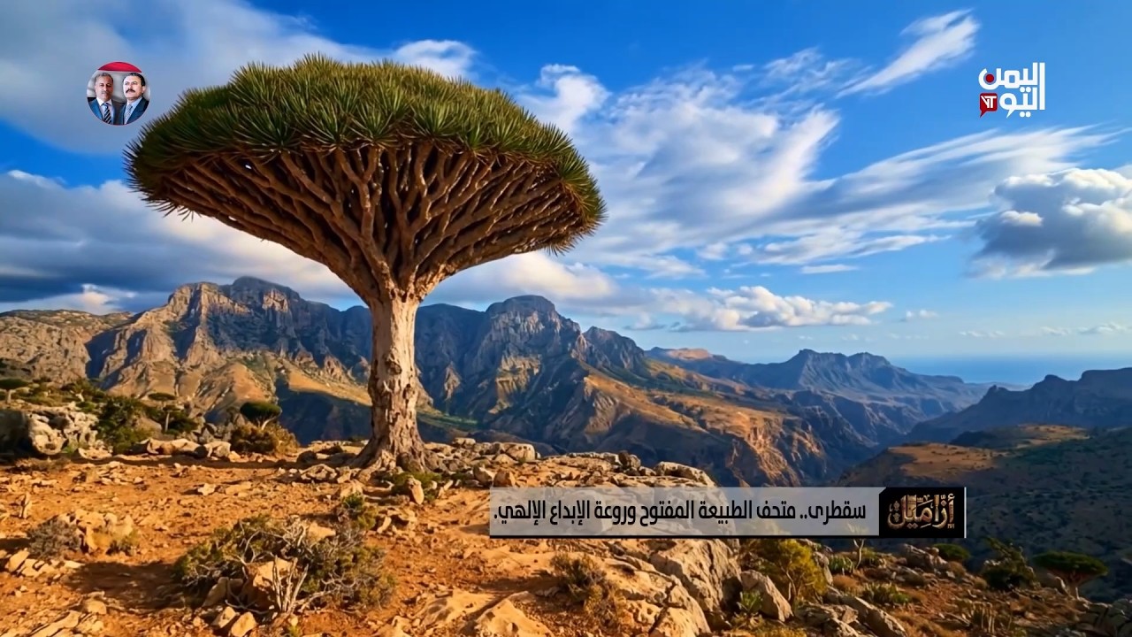 سقطرى .. مملكة النباتات النادرة وأسرار الأرض