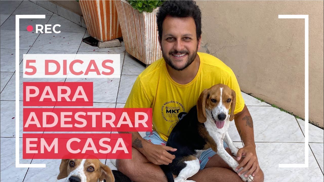 Somos a rede de apoio que você precisa para o seu Cão! 🏡 R