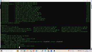 Details web-page hosting on aws ec2 red-hat instance News