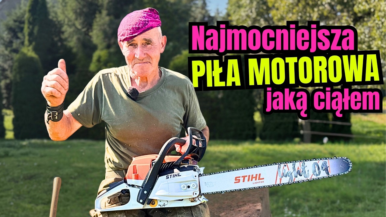 Pilarki STIHL: akumulatorowa vs spalinowa. Przetnie 150-letnie DREWNO?
