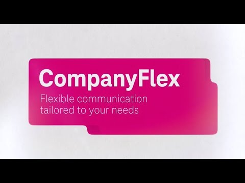 Set up CompanyFlex (SIP trunk) yourself - explained step by step