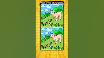 3 differences #findthedifferences #puzzle