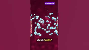 The Science of Déjà Vu 🧠 | Mind-Blowing Facts | AI Brain Feed #Shorts