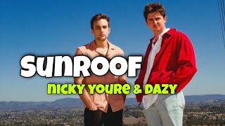 Sunroof - nicky youre & dazy (lyrics animation)