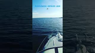 АРЕНДА ЯХТ, КАТЕРОВ В КАЗАНИ. ВОДНЫЕ ПРОГУЛКИ, ЭКСКУРСИИ ПО ВОЛГЕ, КАЗАНКЕ. #shorts #bayliner4087