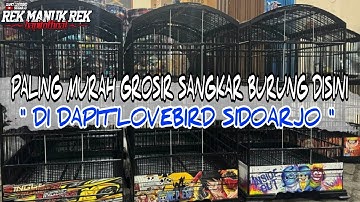 PALING MURAH GROSIR SANGKAR BURUNG DISINI !!! DI DAPIT LOVEBIRD SIDOARJO