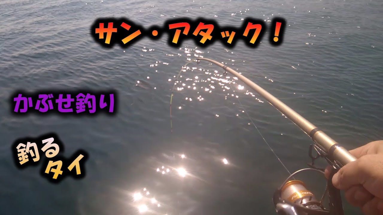 【浜名湖】釣り　新居海釣り公園　かぶせ釣り　　　大物を釣るタイ