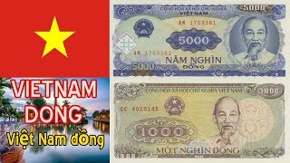 New Vietnamese 1000, 5000 Dong