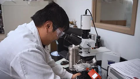 Careers at Catalent Biologics