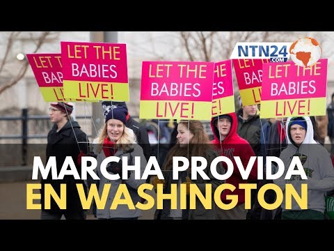 Vídeo: Lea Estos Consejos Antes De Ir A La Marcha De Las Mujeres En Washington - Matador Network