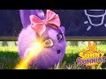 Sunny Bunnies | Escola mágica | Desenhos animados | WildBrain em Português