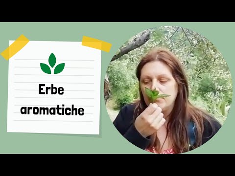 Video: Erbe da grigliare: coltivare un giardino di erbe aromatiche per carni e marinate