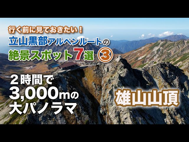 【サボ　愛称板】（表）立 山 TATEYAMA（裏） アルペン ALPINE サボ 愛称板】（表）立 山 TATEYAMA （裏）アルペン ALPINE サボ