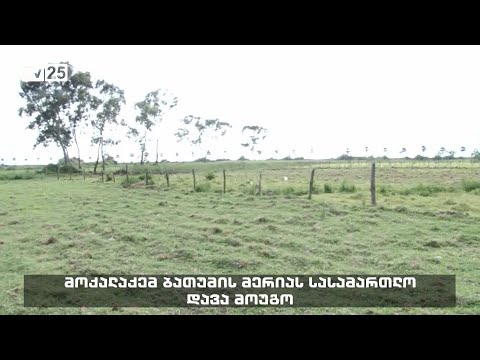 მოქალაქემ ბათუმის მერიას სასამართლო დავა მოუგო