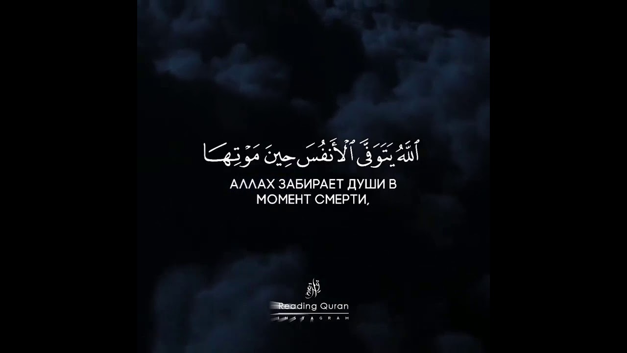 Сура 39 аз-зумар. Аят толпы. Аят толпы. Аят толпы. Сальман аль утайби чтение корана.