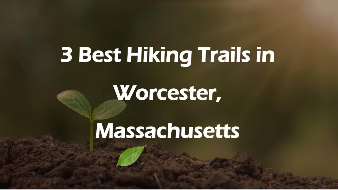 3 Best Hiking Trails in Worcester, Massachusetts | Nature Trails