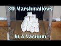 What Happens When You Put 30 Marshmallows In A Huge Vacuum Chamber?