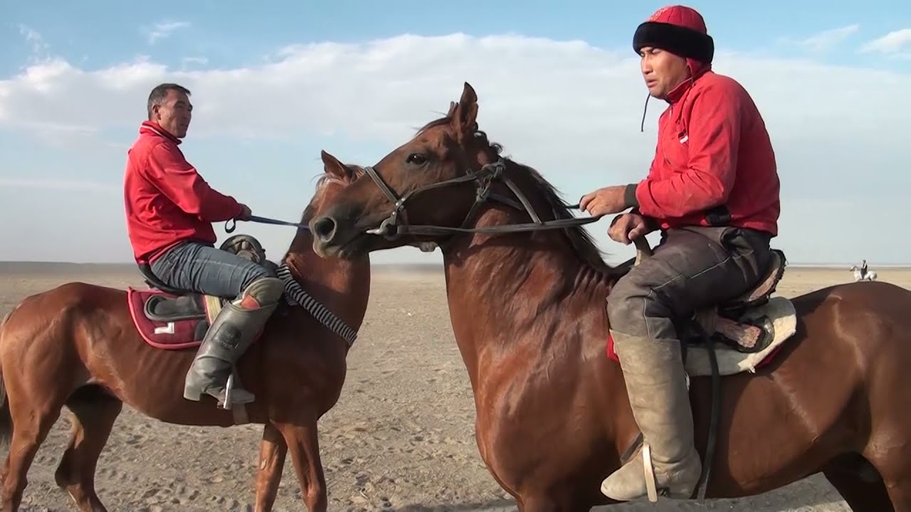 Кокпар Кулкудык ауылы 21,08,2021