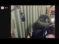 Nerisuさんとらんく