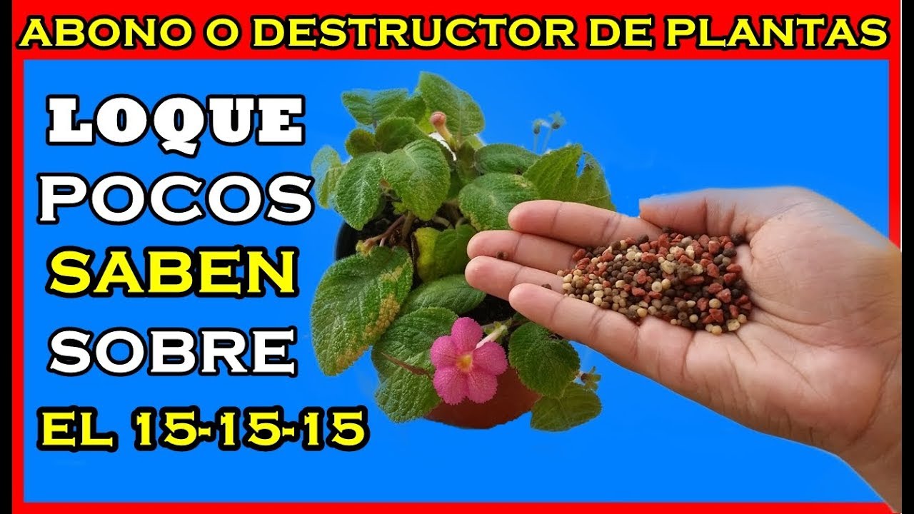 Cuidado! este abono puede perjudicar  tus plantas si lo usas de esta manera