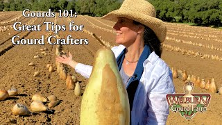 Gourds 101: A Quick Start Guide to Gourds