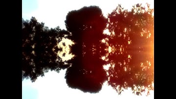 #Winamp - Free download and software reviewshttps://download.cnet.com ›