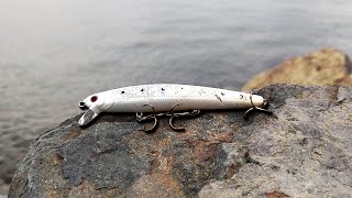 Lucky Craft Flash Minnow NEVER FAILS! -- San Diego Bay by Bearz G. 12,152 views 1 year ago 18 minutes