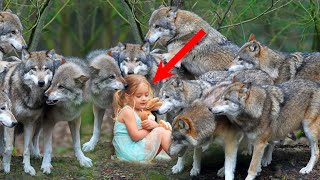 Окруженная голодными волками в лесу маленькая девочка ждала своего часа... Время шло на минуты...