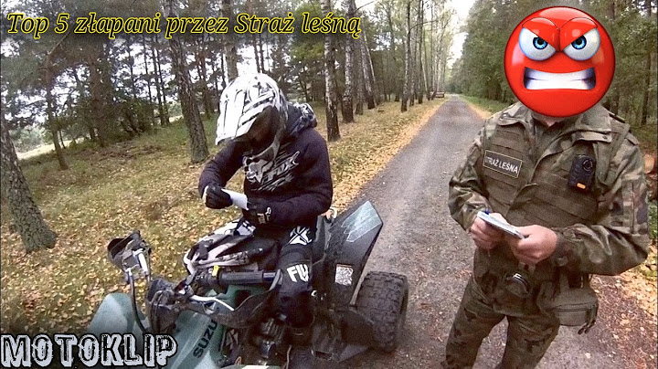 Top 5 złapani przez straż leśną