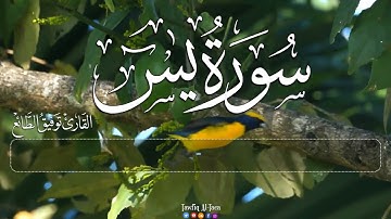 سورة  يس  كاملة  تلاوة هادئة مريحة للنفس 💚  القارئ توفيق الطائع  Surah Ya Sin 1