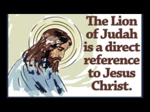 What Does the Lion of Judah Represent Know the Symbolism