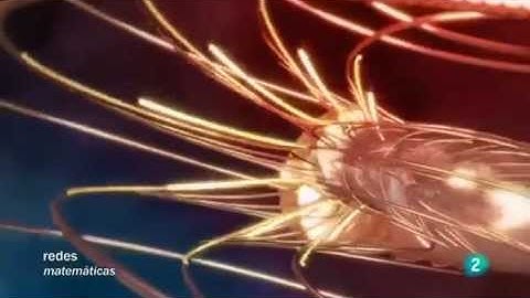 La secuencia de Fibonacci y el Número de oro