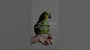 ولا تايسوا من روح الله |خالد الجليل #تلاوة_خاشعة #اكسبلور #المصحف #قرآن #قران_كريم #راحة_نفسية