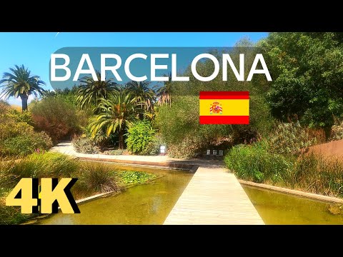 Walking in the Botanical Garden of Barcelona (Jardí Botànic de Barcelona) 4K, Spain 🇪🇸 #garden