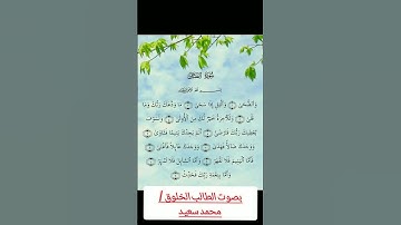 سورة الضحى بصوت الطالب الخلوق محمد سعيد
