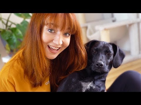 Das ist mein Hund, Clarissa!