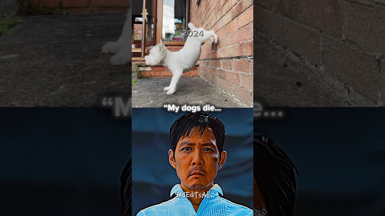 Sad Dog Video 💔 (GOODBYE DOGS) 