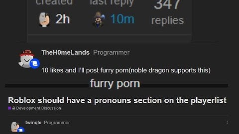 Most sane Roblox devforum thread ever