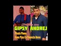 GIPSY ANDREJ TREBISOV - PHRALA PHENA   KANA PIJAS CA PREPESTE ROVAS   MAJ 2019