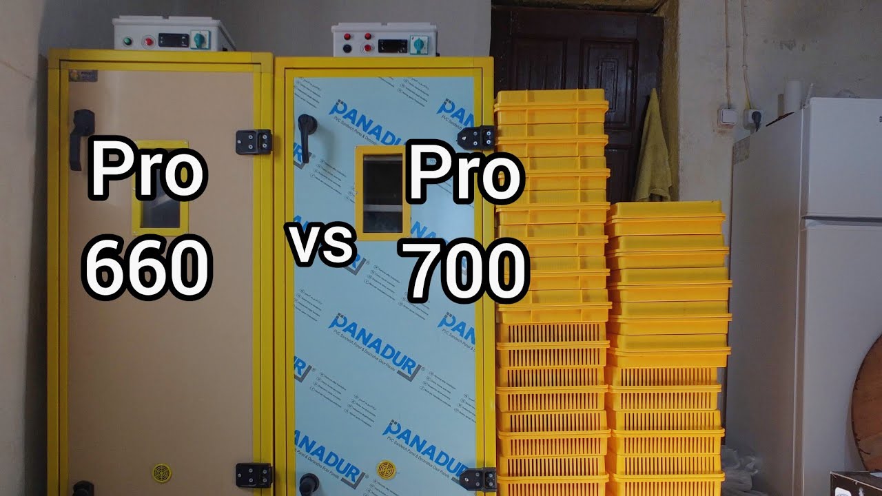 Kuluçka makinası geldi / Damızlık Kazlar çiftlikte / Kuluçka makinası kutu açılımı