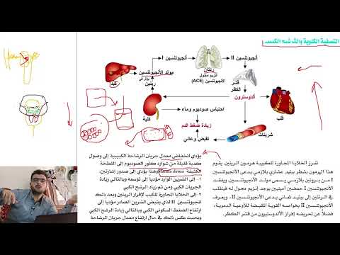 الفيزيولوجيا الطبية الجهاز البولي القسم الرابع د وليد نادري