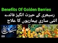 Rasbhari ke fayde  raspberry health benefits      health benefits of golden berry