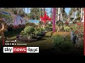 مصر معرض زهور الربيع هو الأكبر والأقدم في المنطقة العربية مراسلو سكاي سكاي مصر 