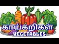 காய்கறிகளின் பெயர்கள் / Vegetable Names in Tamil and English / Different Types of vegetables name|