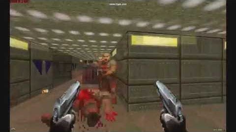 Dual Pistols in Doom (from 3D Bio Soldiers)