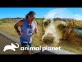 Dr. Jeff corre para recaudar dinero para un tratamiento | Dr. Jeff, Veterinario | Animal Planet