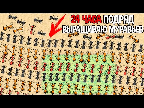 Видео: 24 ЧАСА ПОДРЯД ВЫРАЩИВАЮ МУРАВЬЕВ ( Pocket Ants )